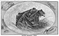 Picture 11 of 14 from Scientific American, Vol. 42, No. 6 (1880) (1880), leaf 8