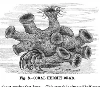 Picture 7 of 10 from Scientific American, Vol. 42, No. 8 (1880) (1880), leaf 8