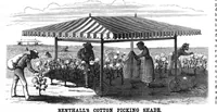 Picture 8 of 15 from Scientific American, Vol. 42, No. 9 (1880) (1880), leaf 7