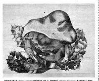 Picture 15 of 17 from Scientific American, Vol. 42, No. 10 (1880) (1880), leaf 10