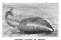 Picture 14 of 15 from Scientific American, Vol. 42, No. 15 (1880) (1880), leaf 10