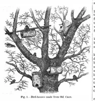 Picture 1 of 15 from Scientific American, Vol. 42, No. 15 (1880) (1880), leaf 3