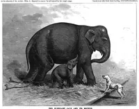 An illustration from Scientific American, Vol. 42, No. 17 (1880) (1880)