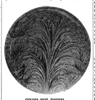 Picture 12 of 15 from Scientific American, Vol. 42, No. 21 (1880) (1880), leaf 8