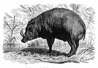 An illustration from Scientific American, Vol. 42, No. 25 (1880) (1880)