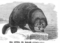 Picture 9 of 14 from Scientific American, Vol. 43, No. 2 (1880) (1880), leaf 8