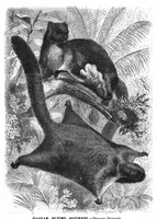 Picture 12 of 16 from Scientific American, Vol. 43, No. 9 (1880) (1880), leaf 8