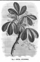 Picture 11 of 16 from Scientific American, Vol. 43, No. 12 (1880) (1880), leaf 8