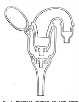 Picture 12 of 15 from Scientific American, Vol. 43, No. 15 (1880) (1880), leaf 9