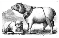An illustration from Scientific American, Vol. 43, No. 16 (1880) (1880)
