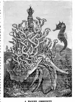 An illustration from Scientific American, Vol. 43, No. 16 (1880) (1880)
