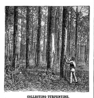Picture 9 of 14 from Scientific American, Vol. 43, No. 18 (1880) (1880), leaf 8