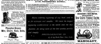 An illustration from Scientific American, Vol. 43, No. 20 (1880) (1880)
