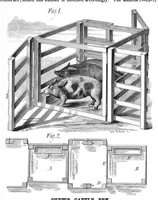 An illustration from Scientific American, Vol. 43, No. 22 (1880) (1880)