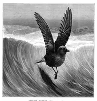 Picture 10 of 14 from Scientific American, Vol. 43, No. 22 (1880) (1880), leaf 8