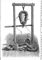 An illustration from Scientific American, Vol. 43, No. 24 (1880) (1880)