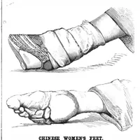 Picture 11 of 15 from Scientific American, Vol. 43, No. 25 (1880) (1880), leaf 10