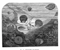 Picture 11 of 16 from Scientific American, Vol. 44, No. 1 (1881) (1881), leaf 9