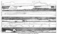 Picture 5 of 11 from Scientific American, Vol. 44, No. 3 (1881) (1881), leaf 4