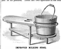 Picture 6 of 13 from Scientific American, Vol. 44, No. 5 (1881) (1881), leaf 4