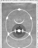 An illustration from Scientific American, Vol. 44, No. 5 (1881) (1881)