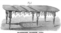 Picture 5 of 16 from Scientific American, Vol. 44, No. 6 (1881) (1881), leaf 7
