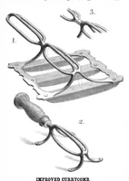 Picture 4 of 16 from Scientific American, Vol. 44, No. 11 (1881) (1881), leaf 3