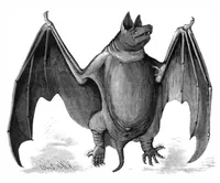 An illustration from Scientific American, Vol. 44, No. 12 (1881) (1881)