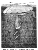 An illustration from Scientific American, Vol. 44, No. 13 (1881) (1881)