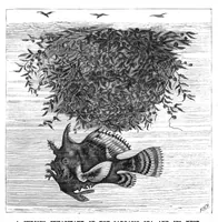 Picture 10 of 16 from Scientific American, Vol. 44, No. 17 (1881) (1881), leaf 8