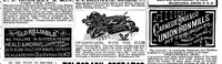 An illustration from Scientific American, Vol. 44, No. 20 (1881) (1881)