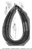 Picture 4 of 10 from Scientific American, Vol. 45, No. 1 (1881) (1881), leaf 4