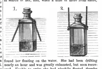 An illustration from Scientific American, Vol. 45, No. 5 (1881) (1881)