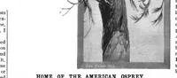 Picture 13 of 17 from Scientific American, Vol. 45, No. 5 (1881) (1881), leaf 8