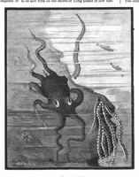 An illustration from Scientific American, Vol. 45, No. 11 (1881) (1881)