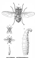 An illustration from Scientific American, Vol. 45, No. 13 (1881) (1881)