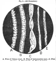 Picture 4 of 18 from Scientific American, Vol. 45, No. 18 (1881) (1881), leaf 2
