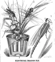 Picture 11 of 15 from Scientific American, Vol. 45, No. 21 (1881) (1881), leaf 8
