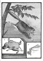 An illustration from Scientific American, Vol. 45, No. 26 (1881) (1881)