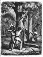 An illustration from Scientific American, Vol. 46, No. 6 (1882) (1882)