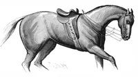An illustration from Scientific American, Vol. 46, No. 11 (1882) (1882)