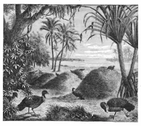 Picture 10 of 13 from Scientific American, Vol. 46, No. 13 (1882) (1882), leaf 10