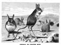 Picture 9 of 11 from Scientific American, Vol. 46, No. 17 (1882) (1882), leaf 8