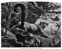 Picture 8 of 11 from Scientific American, Vol. 46, No. 24 (1882) (1882), leaf 8