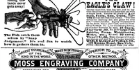 Picture 11 of 12 from Scientific American, Vol. 47, No. 2 (1882) (1882), leaf 14