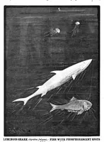 Picture 9 of 16 from Scientific American, Vol. 47, No. 4 (1882) (1882), leaf 8