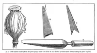Picture 2 of 11 from Scientific American, Vol. 47, No. 5 (1882) (1882), leaf 3