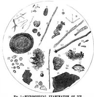 Picture 6 of 11 from Scientific American, Vol. 47, No. 5 (1882) (1882), leaf 8