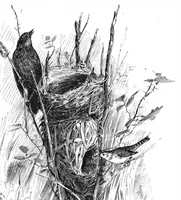 An illustration from Scientific American, Vol. 47, No. 8 (1882) (1882)