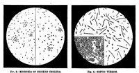 Picture 8 of 12 from Scientific American, Vol. 47, No. 12 (1882) (1882), leaf 8
